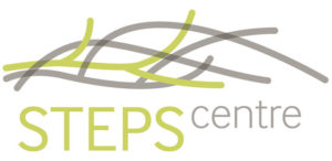 STEPS Logo