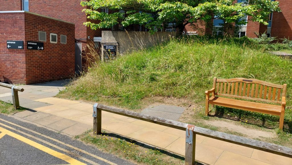 The accessible entrance to the lower ground of the IDS building. There is a flat wheelchair entrance to the path with a bench to the left and the entrance corridor to the left hand side