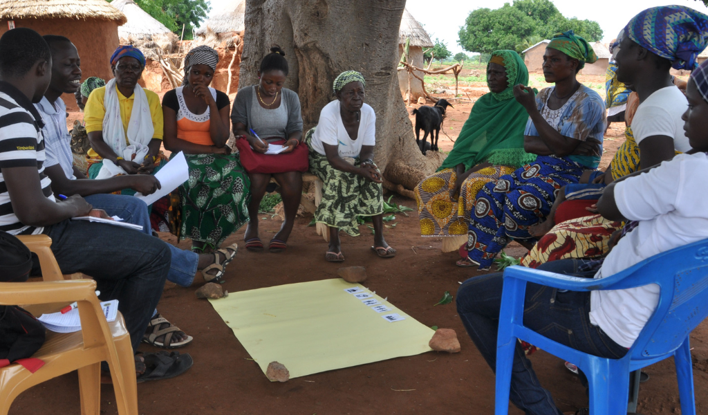 A group of ten people sit in a semi circle under a tree, with a piece of flip chart paper in front of them.